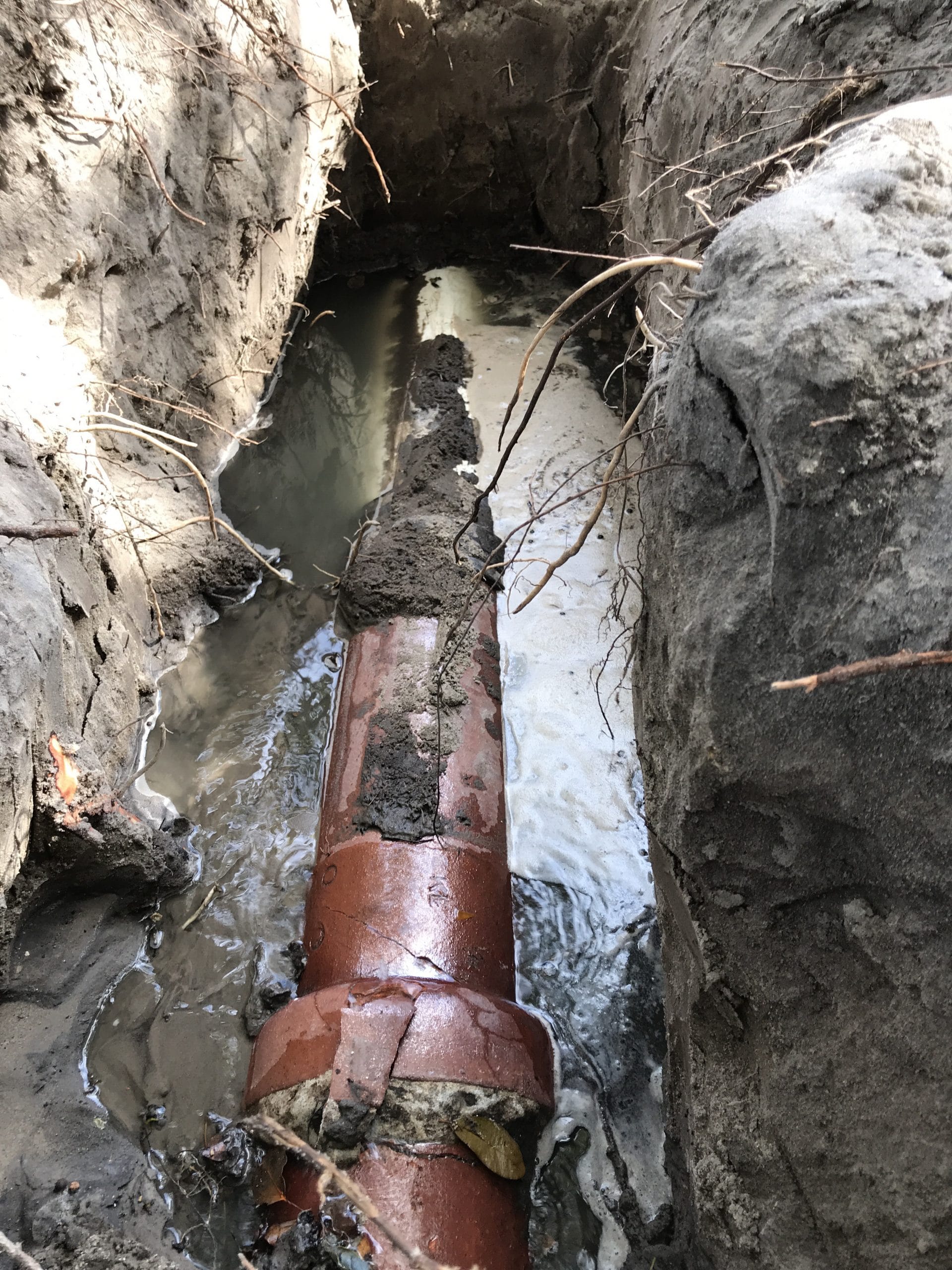 symptoms-of-a-failing-sewer-line-lining-pro